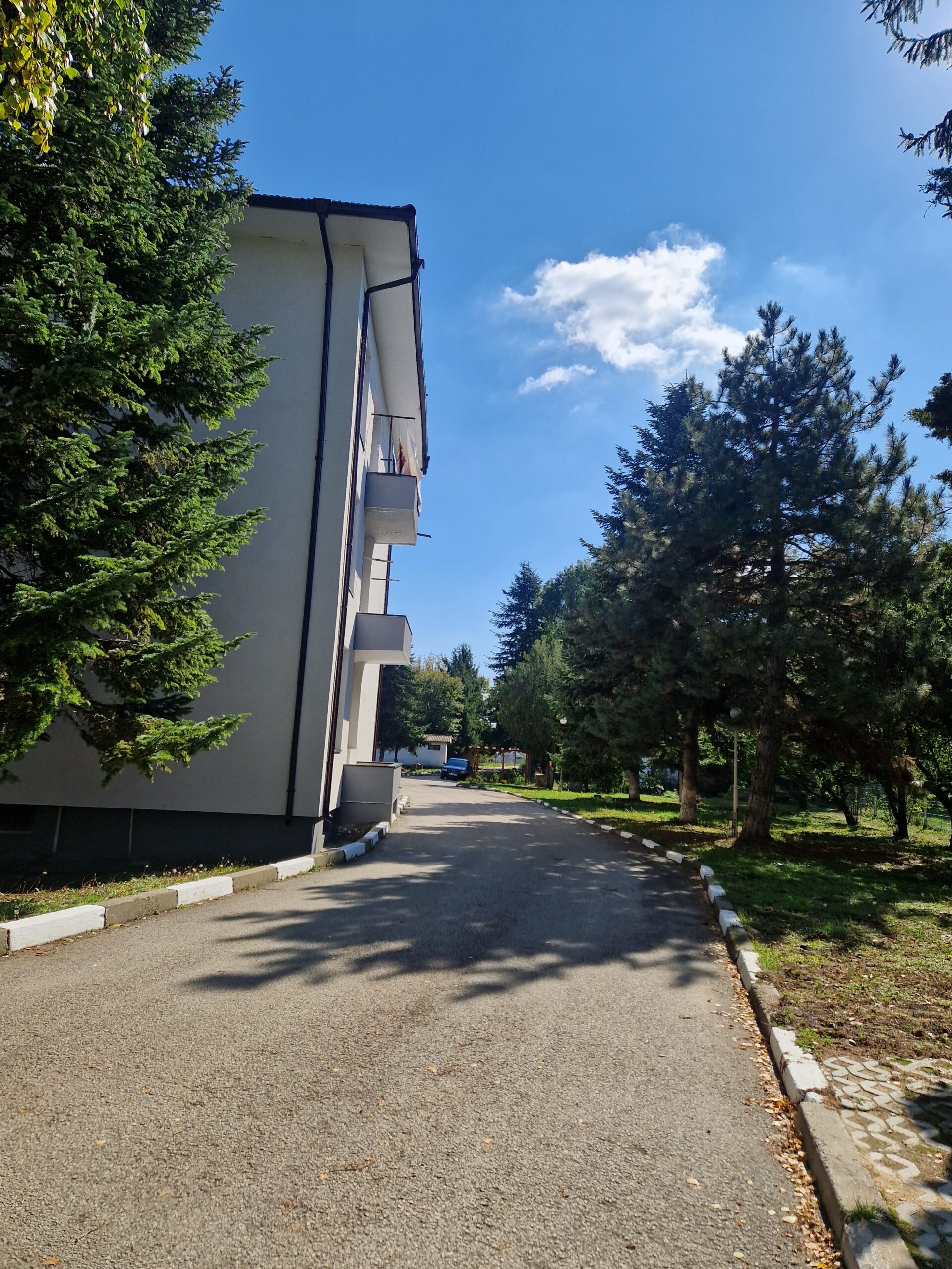 Снимка 17